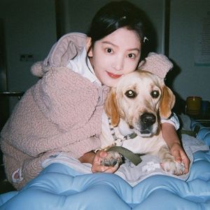 aaaaaaa级毛片高黄
