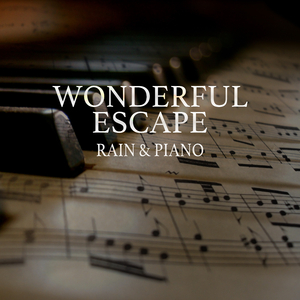 aaaaaaa级毛片高黄
