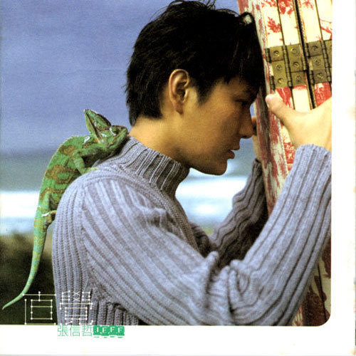 aaaaaaa级毛片高黄
